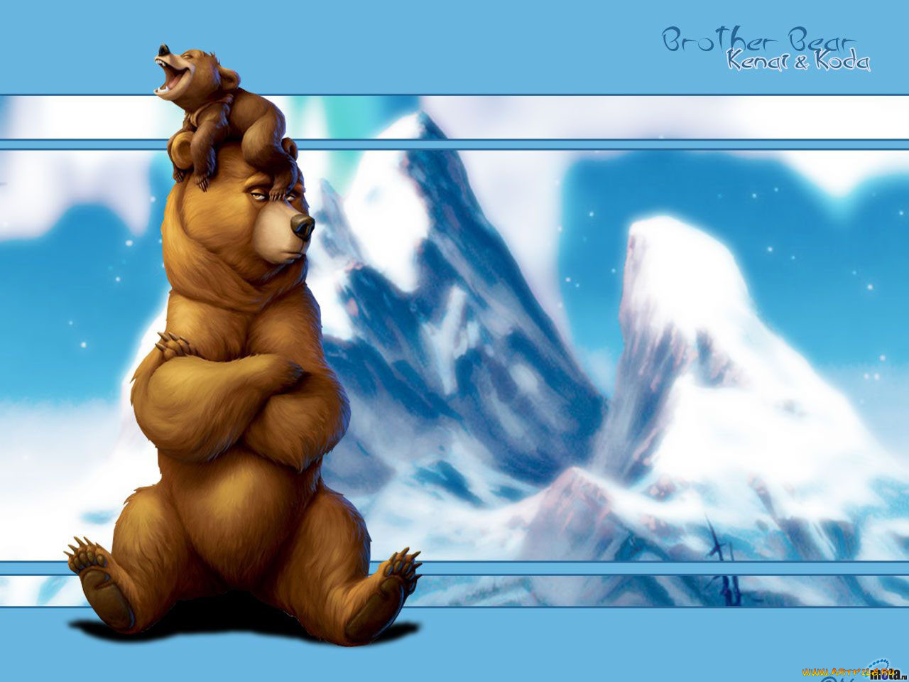 , brother, bear